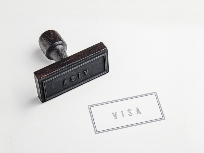 Visa Application